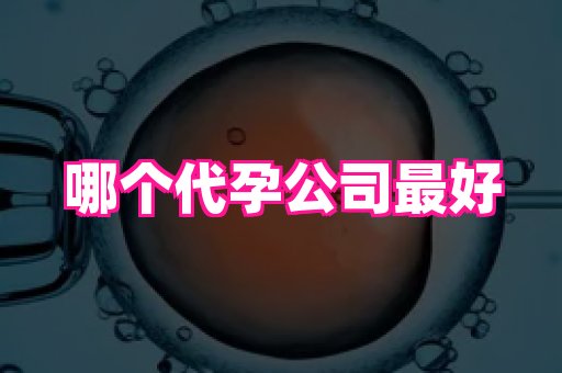 权威助孕网 1