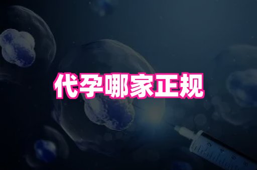 权威助孕网 2