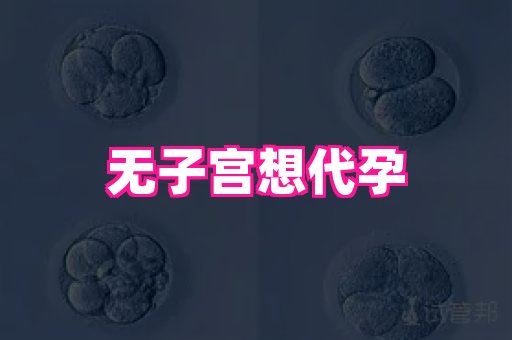 权威助孕网 3