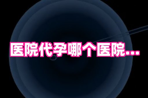 权威助孕网 4